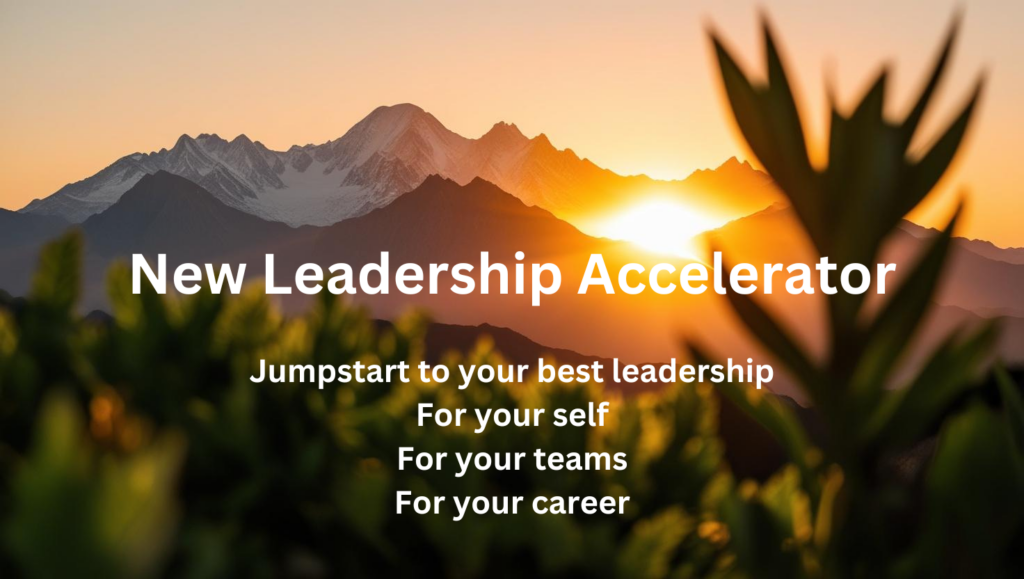 leadership development teams